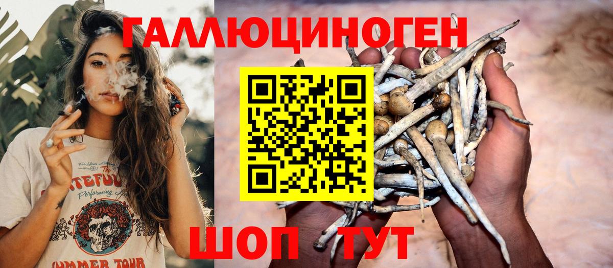 Химки  Галлюциногенные грибы прущие грибы  Вход с VPN 
